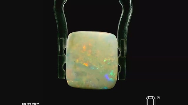 Video 1