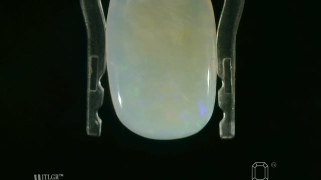 Video 1