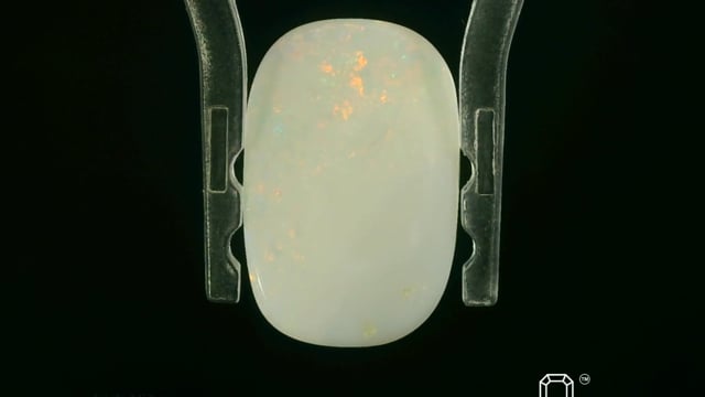 Video 1