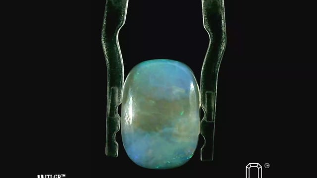 Video 1