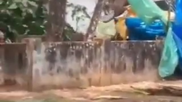 केरल- एर्नाकुलम जिले के अंगमाली स्थित किडांगूर महाविष्णु मंदिर में उत्सव के दौरान मय्यनाड पार्थसारथी नाम का हाथी अचानक मस्त अवस्था में बेकाबू हो गया, हाथी ने वाहनों को उठाकर फेंका और मंदिर परिसर में भारी तोड़फोड़ की, इस दौरान कोल्लम निवासी ट्रक चालक विष्णु की कुचलकर मौत हो गई जबकि मुख्य महावत प्रदीप गंभीर रूप से घायल हो गए, वन विभाग और पुलिस ने करीब दो घंटे की मशक्कत के बाद हाथी को काबू में किया