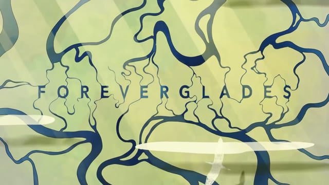 Foreverglades — Animated Short Film