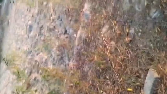 महेशगंज में दबंगई का आरोप महिला ने एसपी से लगाई न्याय की गुहार मारपीट और धमकी का वीडियो वायरल#latest_news 