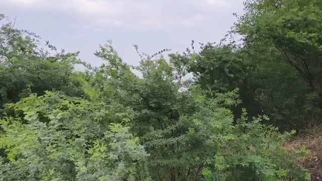 तेज हवा के साथ बदला मौसम, गर्मी से मिली राहत#latest_news 