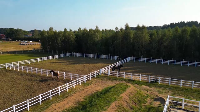 Pferdezaun, 80 Meter