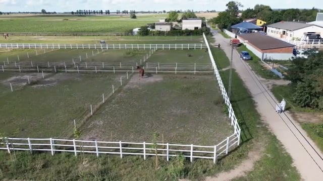 Pferdezaun, 80 Meter