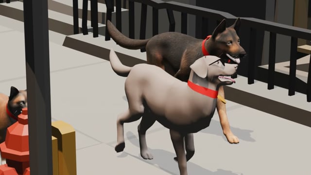 3D Video 02