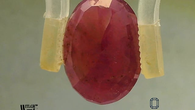 Video 1