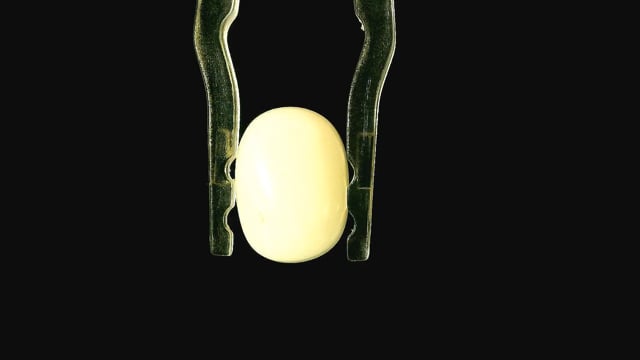 Video 1