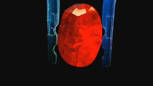 Video 2