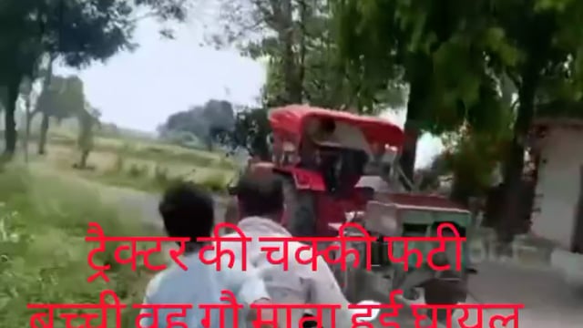 राया के बुर्ज गांव में आटा पीसने की चक्की फटी एक बच्ची वह गौ माता हुई घायल चालक मौके से फरार लोगोंने किया पीछा