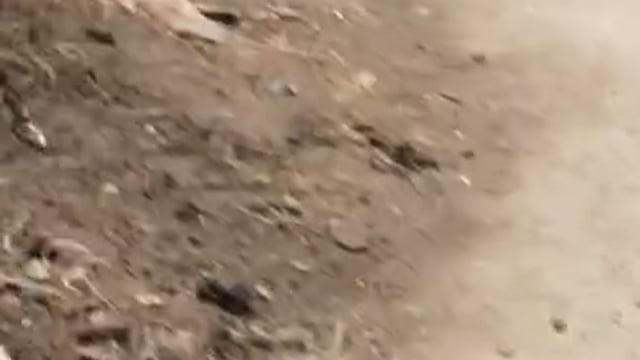 गोवर्धन के गांव धन्ना में प्लॉट के विवाद में लहराई बंदूक तमंचा पुलिस मामले की कार्रवाई में लगी