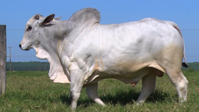 Lote 05