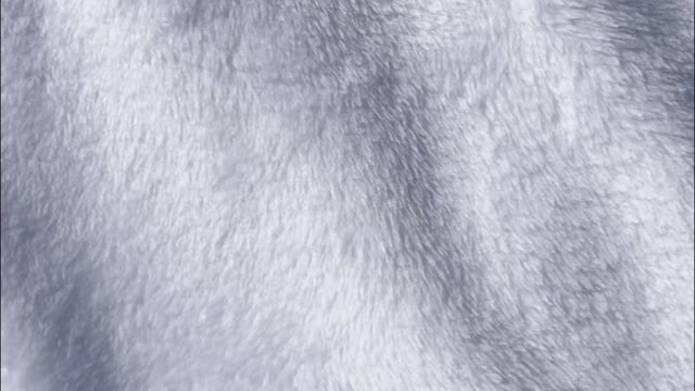 La qualité