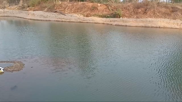 तिलैया नदी में बालू उठाव के कारण बड़े-बड़े गड्ढे होने से नुकसान होने का खतरा, ग्रामीण दहशत में