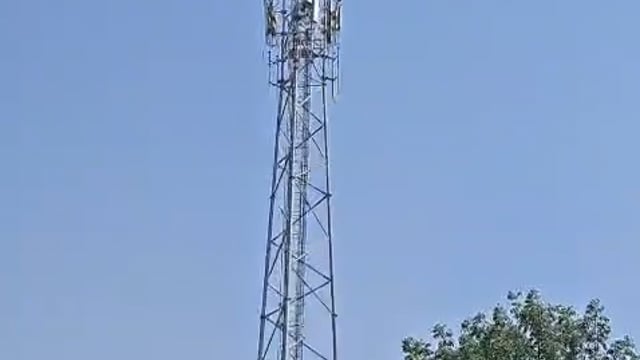 ▶️......प्रयागराज में ‘टावर ट्रेंड’ जारी!* 
फैसले अब कोर्ट में नहीं बल्कि टावर पर होंगे ? टावर और टंकी के नाम से नया विभाग न बना दिया जाए ?