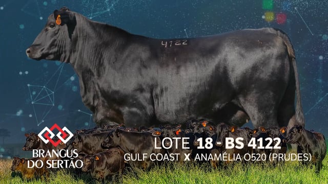 Lote 18