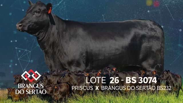 Lote 26