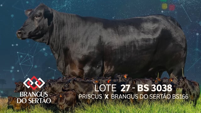 Lote 27
