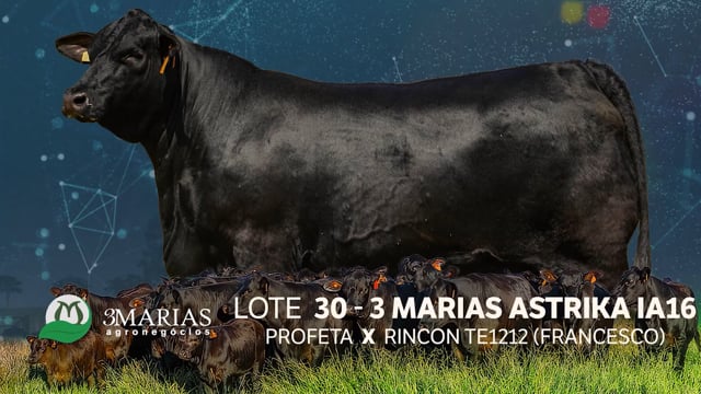 Lote 30