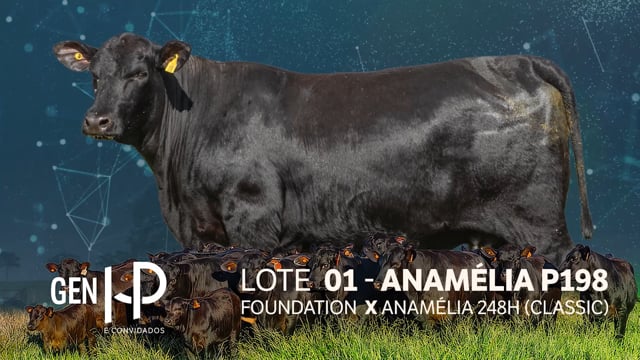 Lote 01