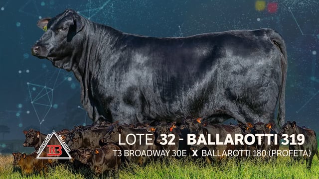 Lote 32