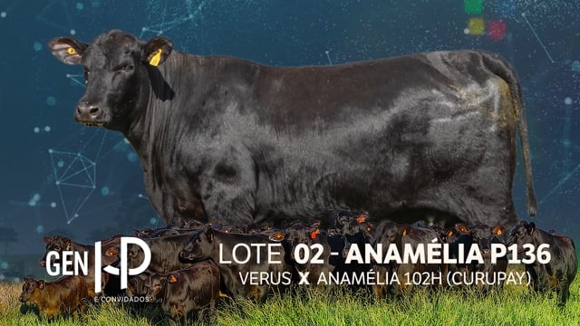 Lote 02
