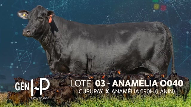 Lote 03