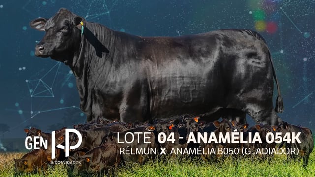 Lote 04