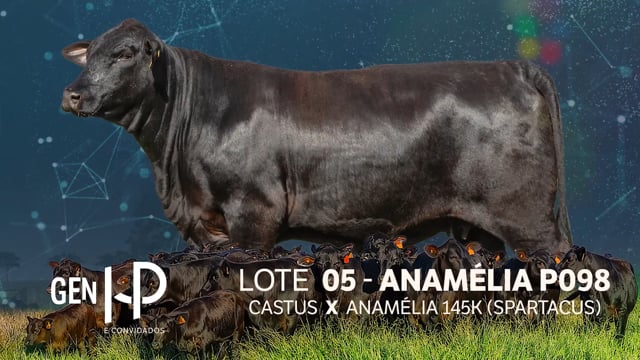 Lote 05
