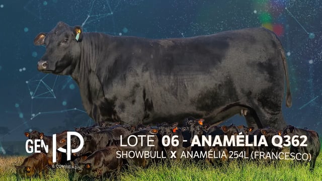 Lote 06