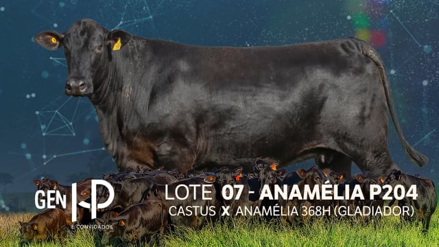 Lote 07
