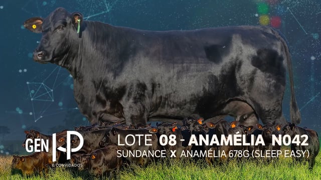 Lote 08