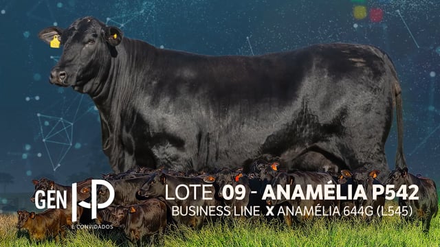 Lote 09
