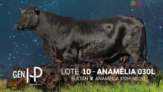 Lote 10
