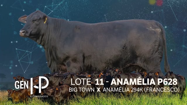 Lote 11