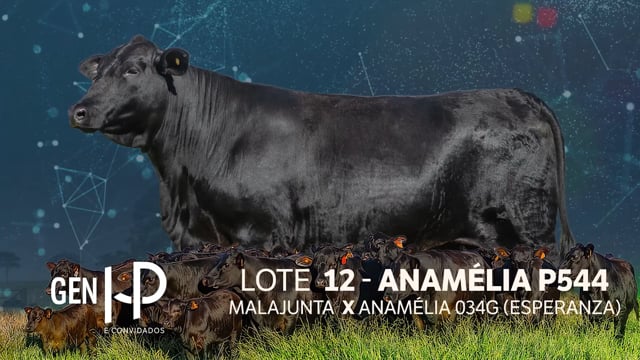 Lote 12