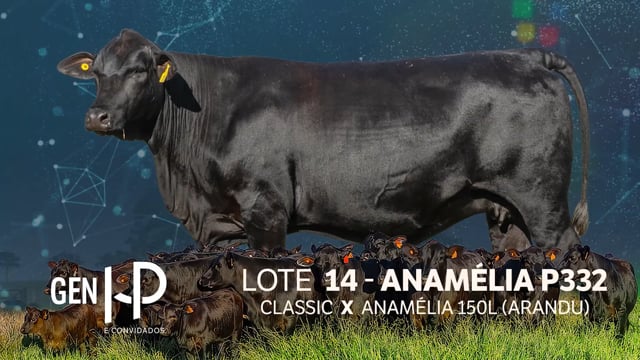 Lote 14