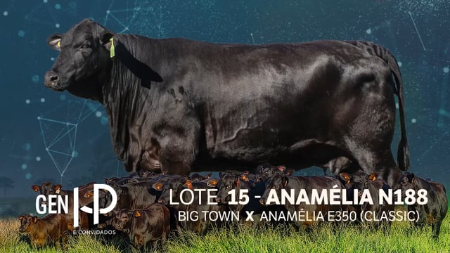 Lote 15