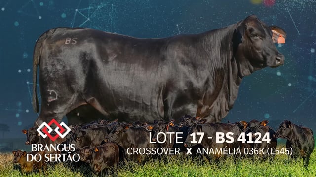 Lote 17