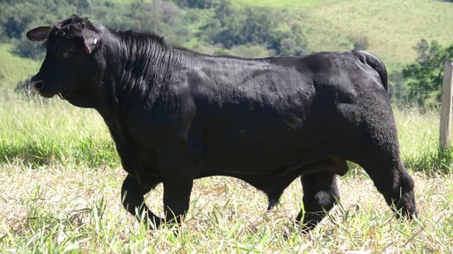 Lote 103