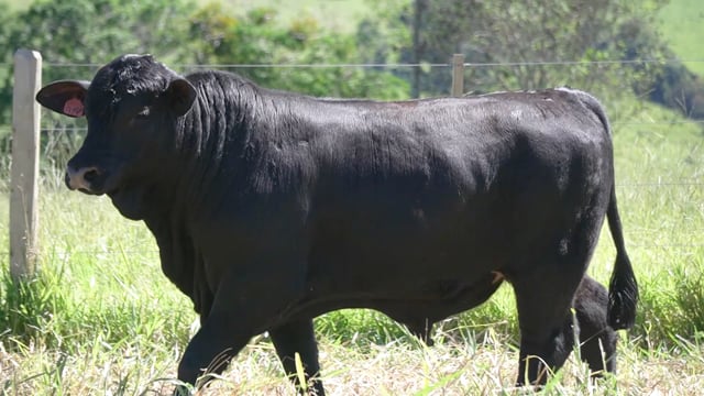Lote 104