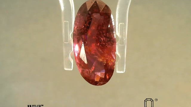 Video 1