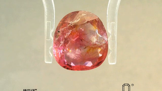 Video 1