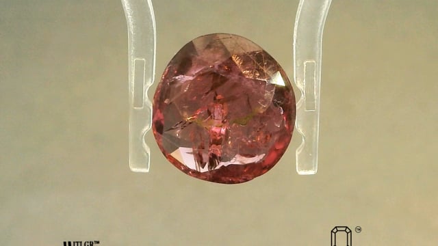 Video 1