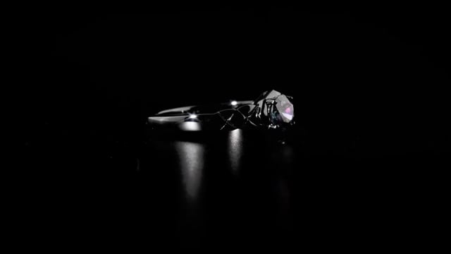  Video Photo 