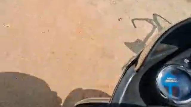 ▶️...सुबह होते ही बिकने लगता है खुलेआम देसी शराब।                      Mirzapur
