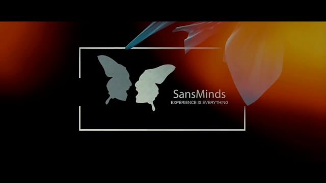 Video On/Off by Nicholas Lawrence and SansMinds - DVD (VT)
