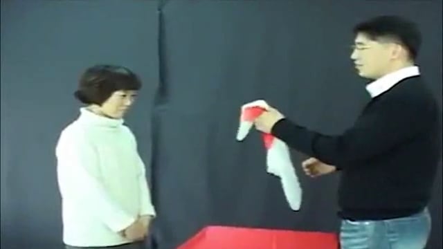 Video Heart Scarf Set by JL Magic - Trick (VT)