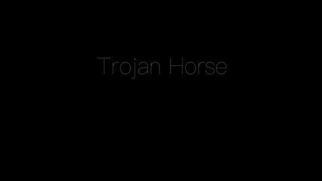 Video THE TROJAN HORSE PROJECT by Manos, Murray and Rasp - Book (VT)